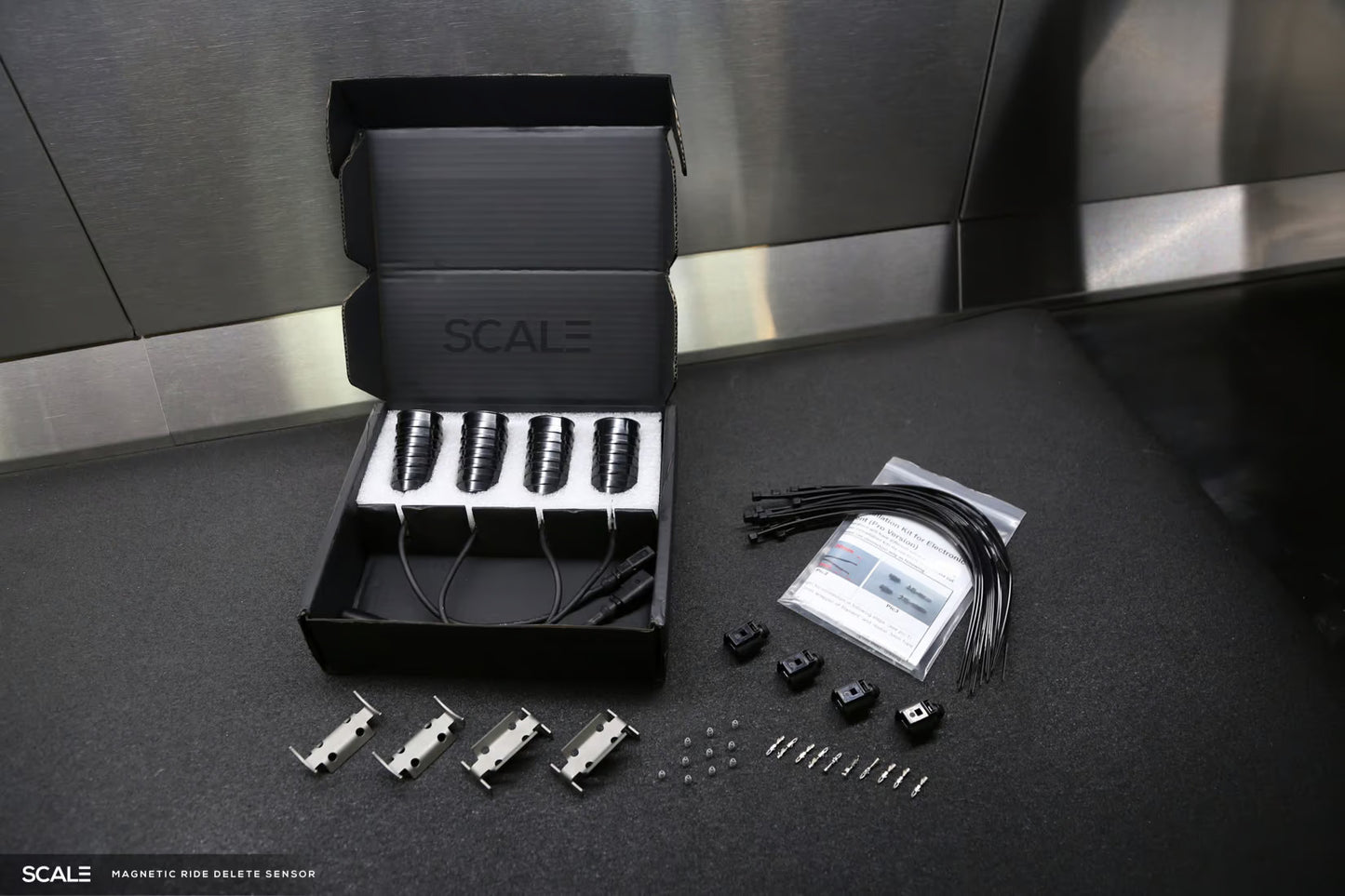EDC Delete Ferrari F430 05-10 - Magnetic Ride Delete Unit